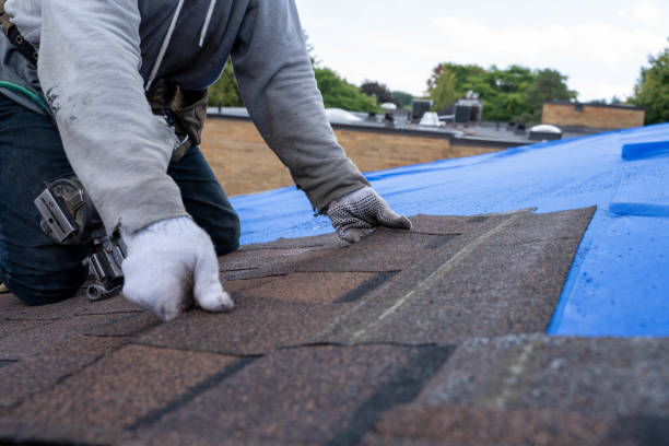Professional Roofing Contractor in Bellevue, ID