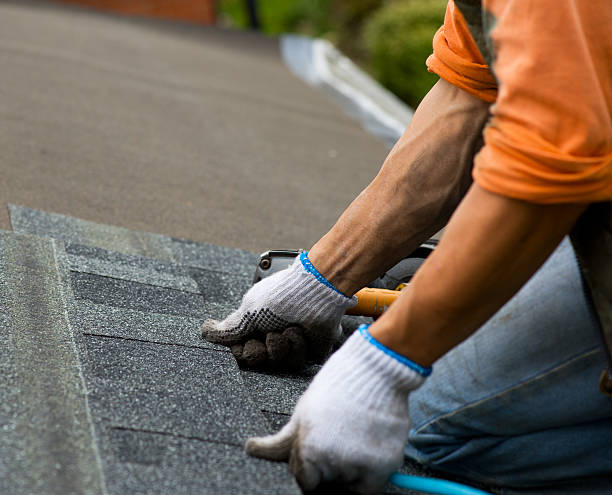 Best Roof Gutter Cleaning  in Bellevue, ID